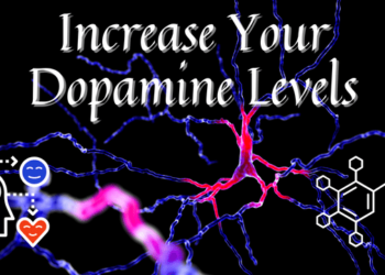 Discover effective ways to increase your dopamine levels.