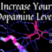 Discover effective ways to increase your dopamine levels.